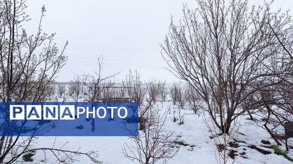 مناظر زیبای باغات روستای بوژمهران پس از بارش برف بهاری ۲۰ سانتیمتری 