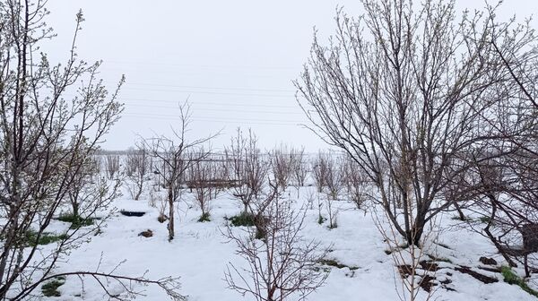 مناظر زیبای باغات روستای بوژمهران پس از بارش برف بهاری ۲۰ سانتیمتری 