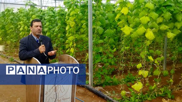 بازدید از گلخانه نمونه خسروشاه در هفته بسیج