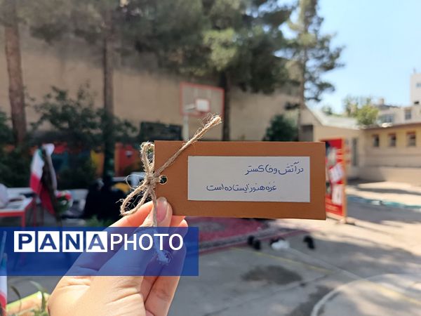 عزاداری شهادت حضرت رقیه سلام الله علیها