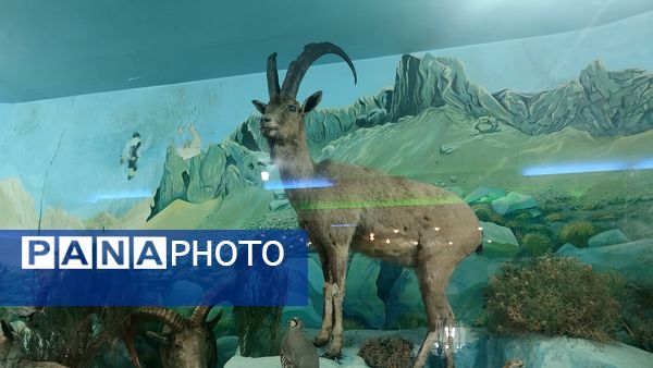 بازدید دانش‌آموزان ناحیه یک مشهد از پژوهش‌سرای علامه طباطبایی