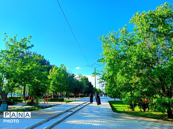  بزرگترین پارک خطی شرق کشور سرسبز تر از همیشه