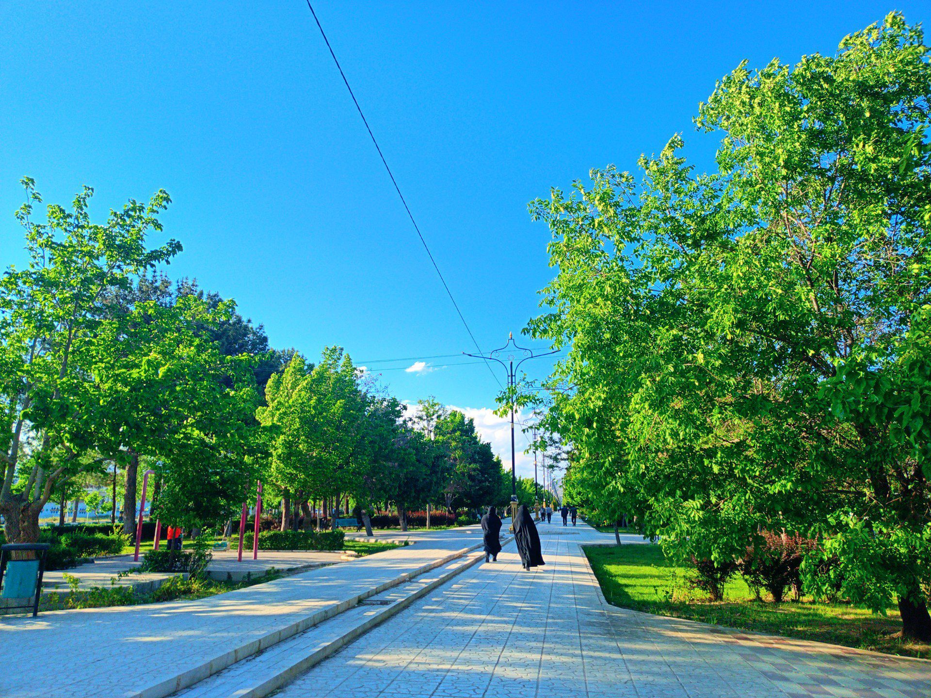  بزرگترین پارک خطی شرق کشور سرسبز تر از همیشه
