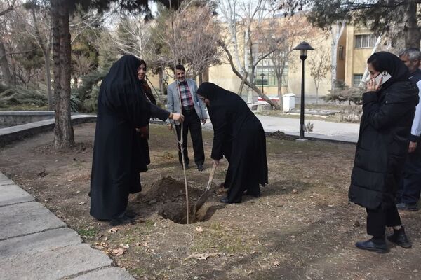 دانشگاه سبز می‌اندیشد
