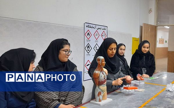 کارگاه تشریح قلب و آناتومی بدن انسان