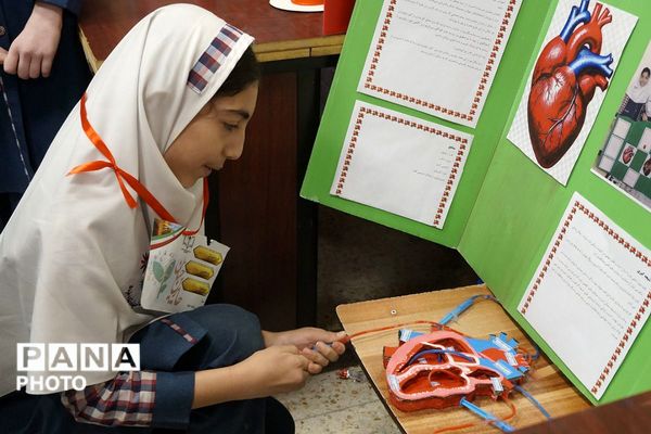 اجرای طرح پژوهشی جابر‌ بن حیان در دبستان شهدای پانزده خرداد شهرستان قرچک 