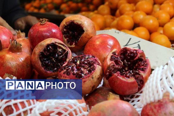 بازار داغ یلدا در زنجان