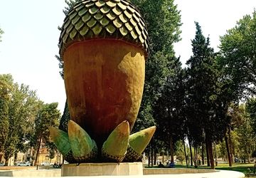 وقتی بلوط قصه می‌گوید 