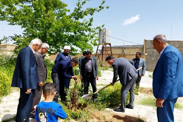 ۴ اصل نخل؛ نماد پاسداشت شهیدان و همدلی در منطقه شیب‌کوه 