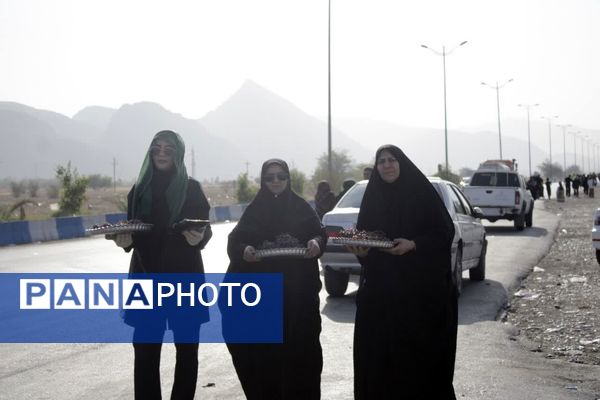 آیین پیاده‌روی جاماندگان اربعین در گچساران 