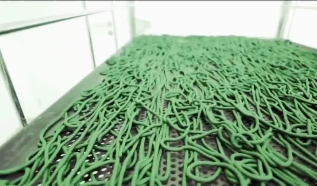 تولید ۶هزارو۱۰۰ کیلوگرم خمیر جلبک اسپیرولینا در فارس