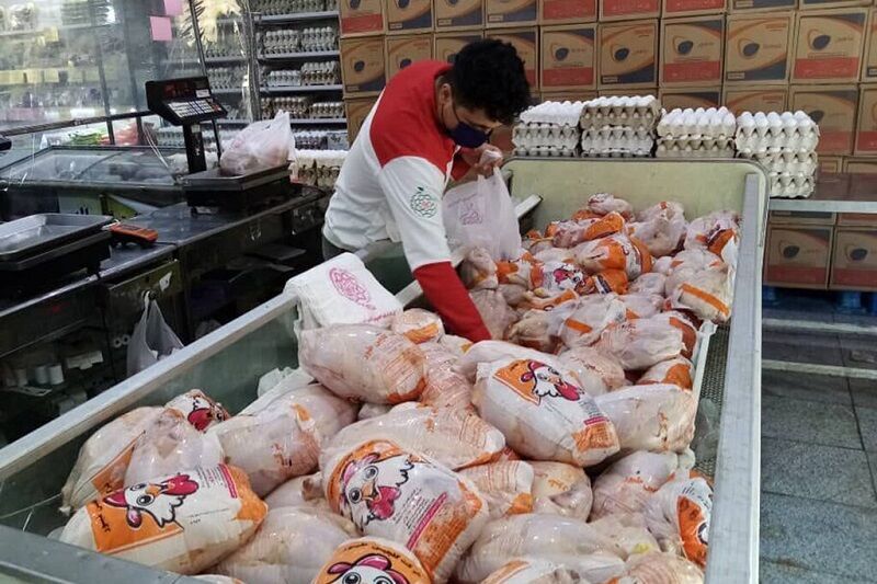 گوشت مرغ استان تهران تامین است