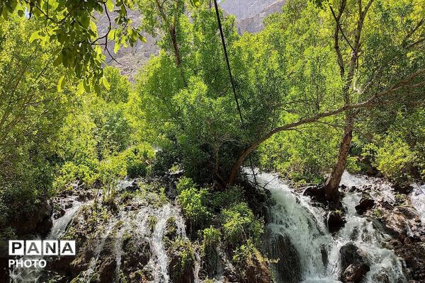 آبشار بار، نغمه‌ای از آب در دل طبیعت