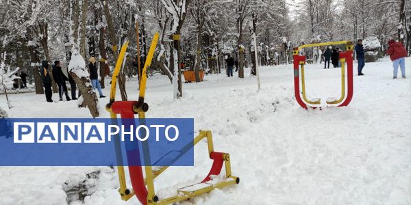 سکوت برفی بروجن، قلب شهر را به تپش انداخت