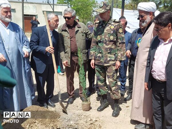 پویش سرو ایران؛یادگاری از جنگ اخیر در دل طبیعت