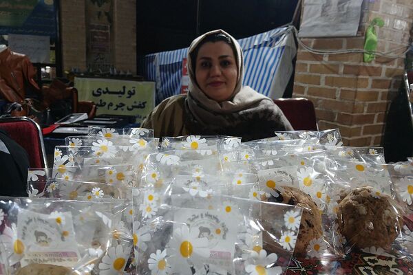 جشن بزرگ «یلدای مهربانی» در بازارچه کوثر؛ شب یلدایی با نوای عشق و همدلی 
