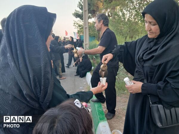 قدم هایی در راه سیدالشهدا