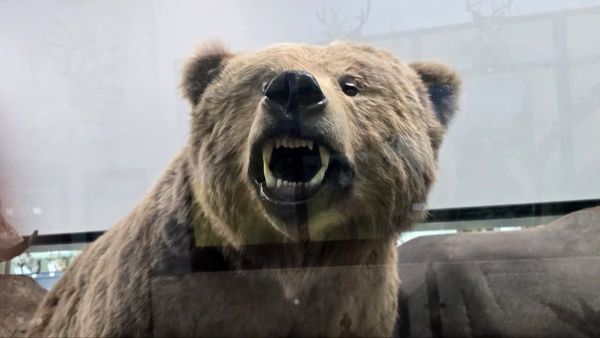 بازدید دانش آموز خبرنگاران پانا از موزه ی تنوع زیستی پارک پردیسان تهران