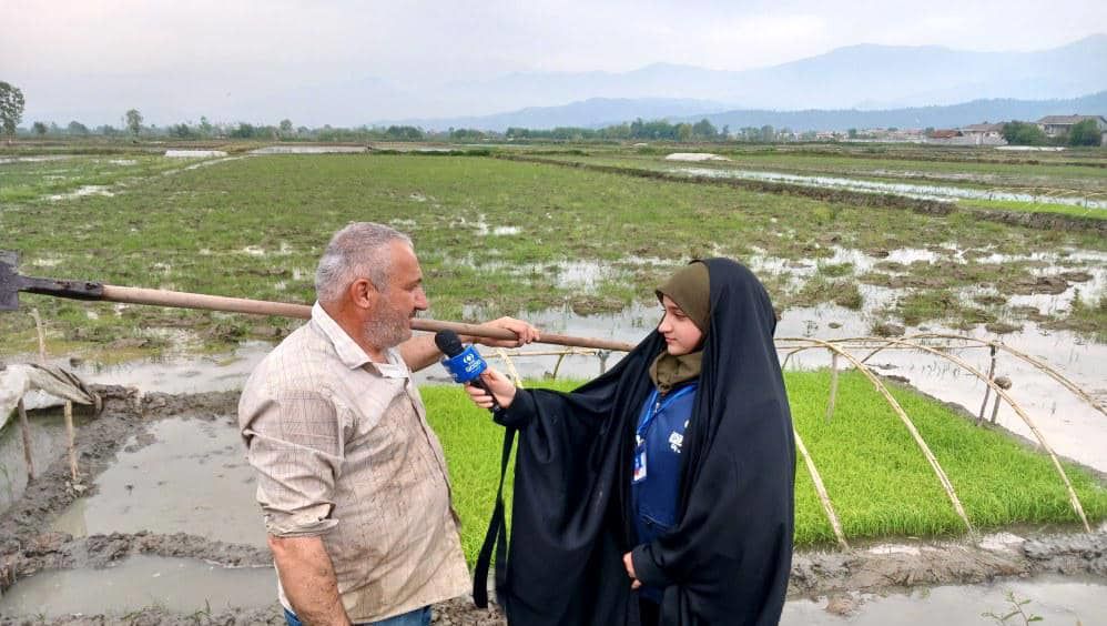 قیمت برنج به‌دست‌آمده در مقایسه با تورم‌ و کالاهای مصرفی کشاورزی همخوانی ندارد