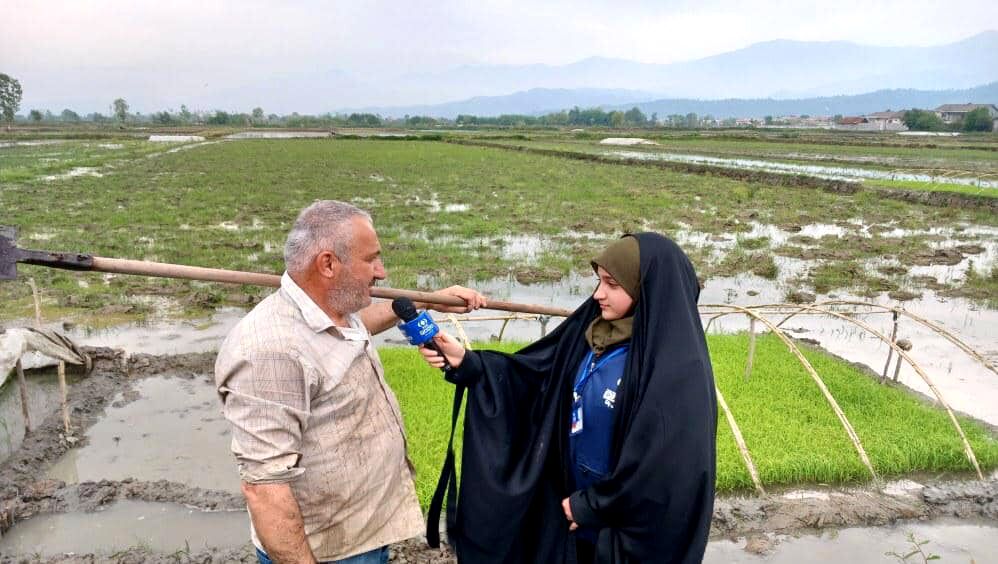 قیمت برنج به‌دست‌آمده در مقایسه با تورم‌ و کالاهای مصرفی کشاورزی همخوانی ندارد
