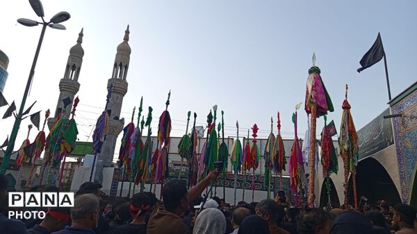 پیوند میراث چهارصدساله با اندوه کودکان شجره طیبه