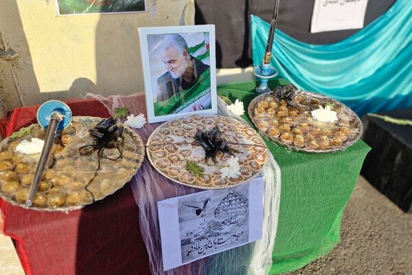 آیین عزاداری نو گلان فاطمی؛ از مسیر مدرسه میثاق تا مسجد امام حسن مجتبی (ع) فشافویه