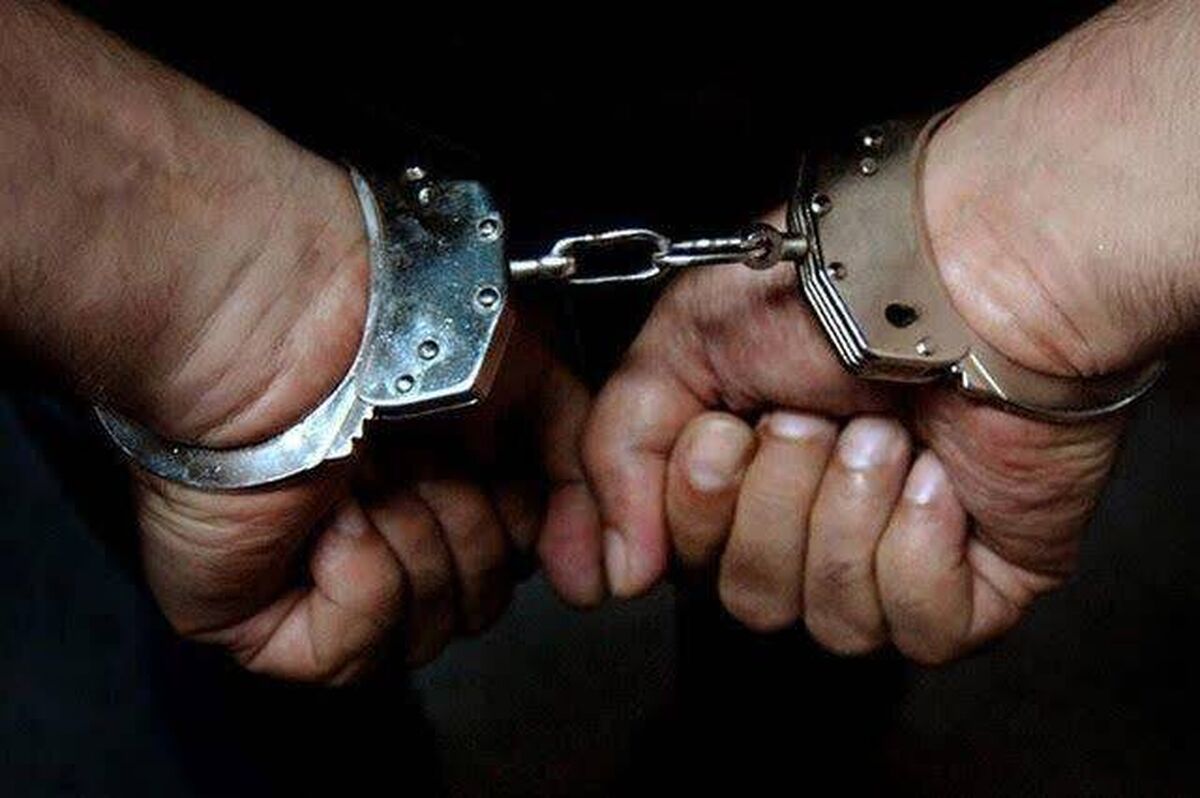 دستگیری ۲ شرور و کشف ۱۴ قبضه سلاح گرم در پایتخت