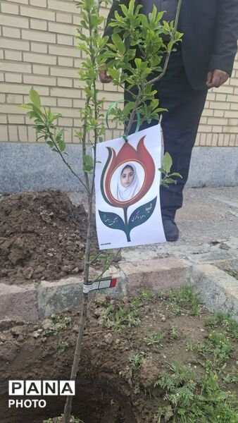 حضور دانش‌آموزان پیشتاز در پویش ملی «کاشت نهال امید»