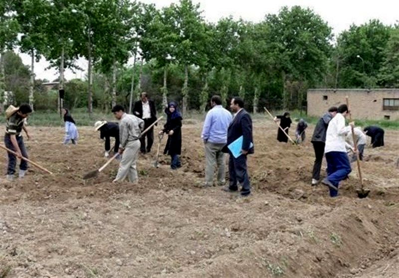 دانش‌آموزان در حین آموزش در هنرستان‌های کشاورزی به شبکه حاکمیتی متصل شوند