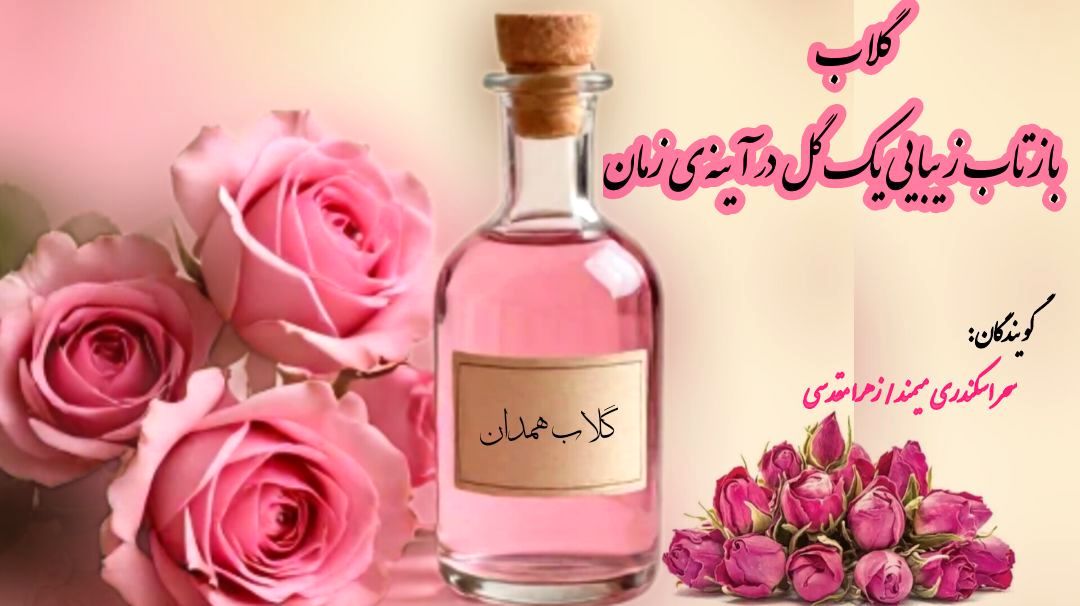 گلاب؛ بازتاب زیبایی یک گل در آینه زمان