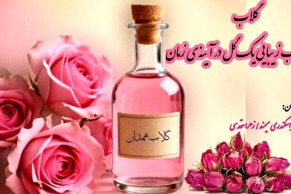 گلاب؛ بازتاب زیبایی یک گل در آینه زمان