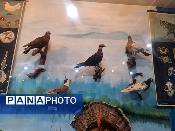 اردوی علمی ،تفریحی دانش آموزان مدرسه مهندس رحمانی فرد در پژوهش سرای علامه طباطبایی