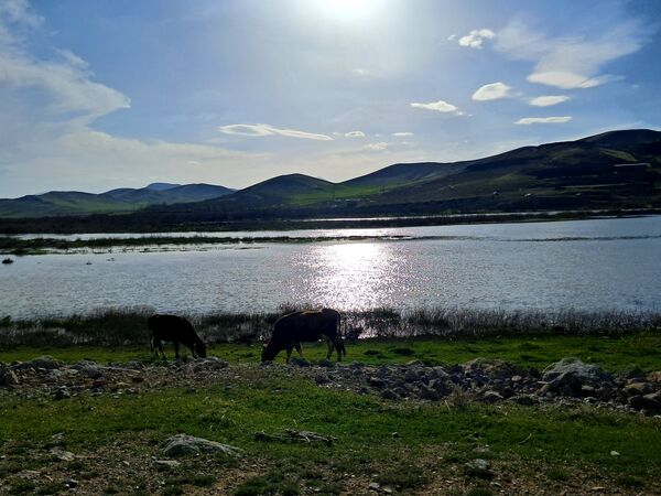 زیبایی های طبیعی شهرستان پاوه به روایت تصویر