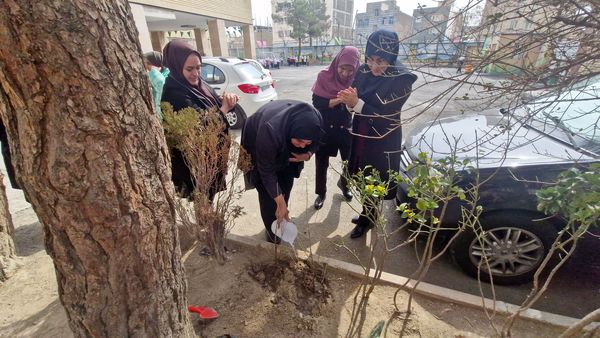 زینت بخشی مدارس شهرستان قدس با کاشت نهال های جوان