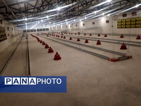 افتتاح ساختمان بهزیستی، افتتاح گود کشتی، کلنگ زنی بیمارستان پورسینا و افتتاح فاز ۳ پروژه مرغ مادر در شهرستان سملقان