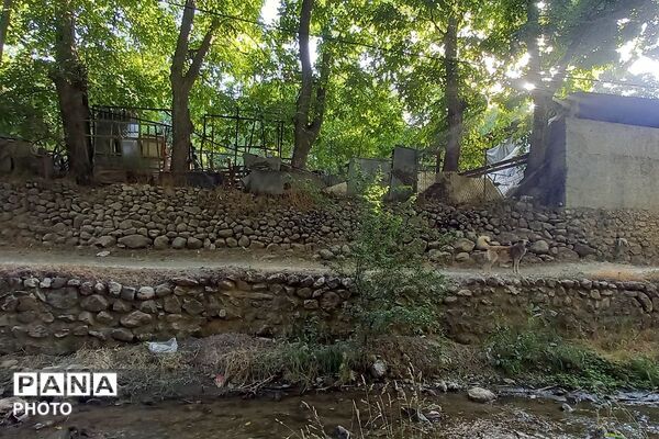 قاب‌هایی از آرامش در روستای ولیان