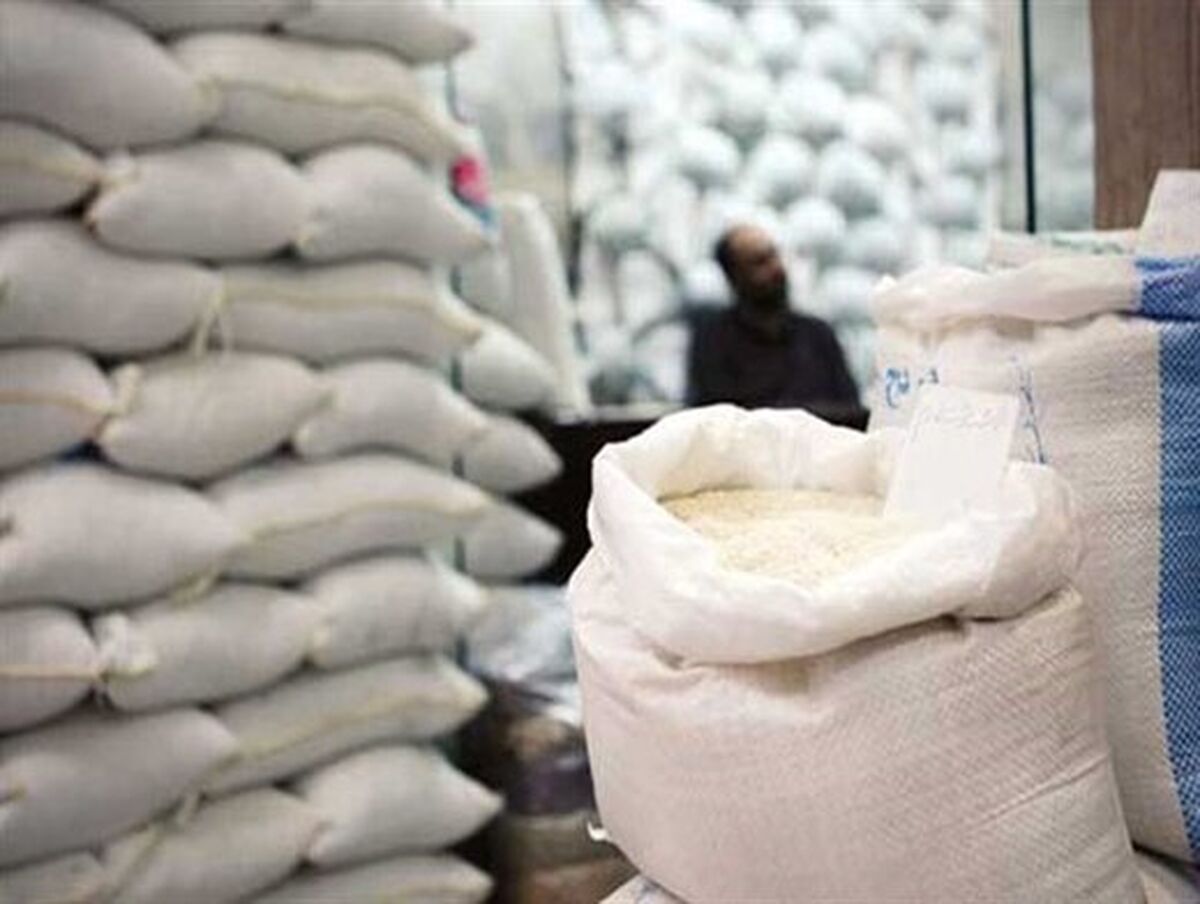 تشریح دلایل افزایش قیمت برنج و شایعات احتکار آن