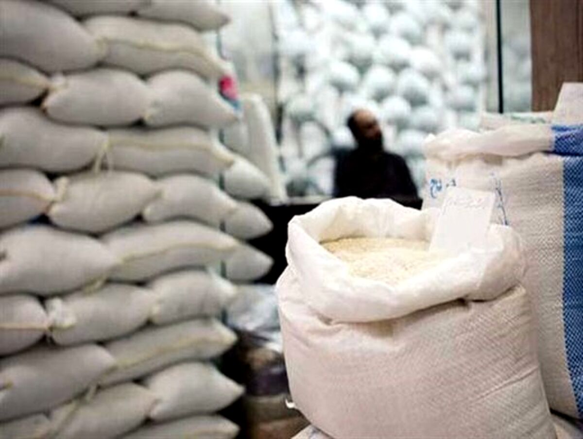 لغو ممنوعیت ترخیص برنج در فصل برداشت