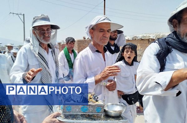 کاروان پیاده انصارالحسین به منطقه خانمیرزا رسید 