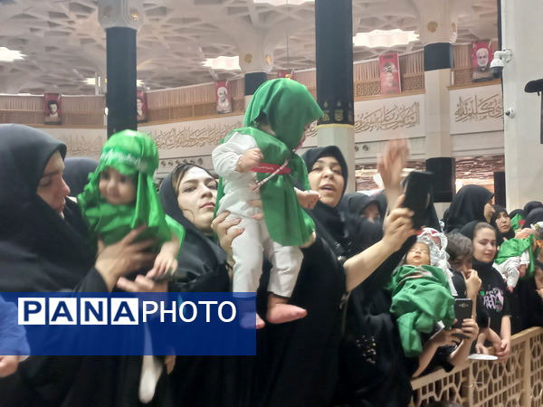 همایش شیرخوارگان حسینی(ع) در قم - 2