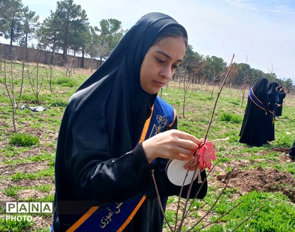 مراسم کاشت نهال در اردوگاه شهید رجایی شهرستان نیشابور
