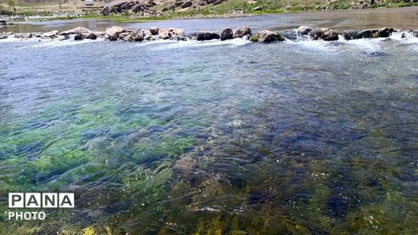 خنکی چشمه دیمه کوهرنگ روح را نوازش می‌دهد