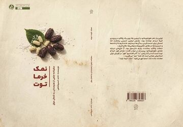 سفری به دل کرکوک و سلیمانیه عراق؛ «نمک، خرما، توت» منتشر شد