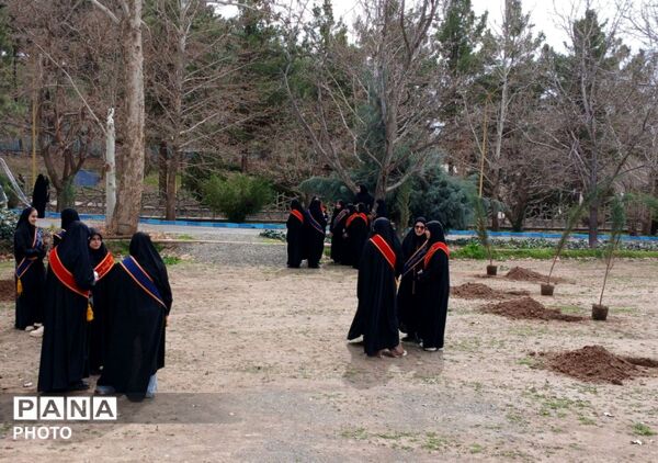 مراسم کاشت نهال در اردوگاه شهید رجایی شهرستان نیشابور