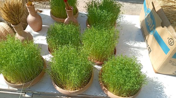 حال و هوای بازار شهرکرد در روز‌های پایانی سال