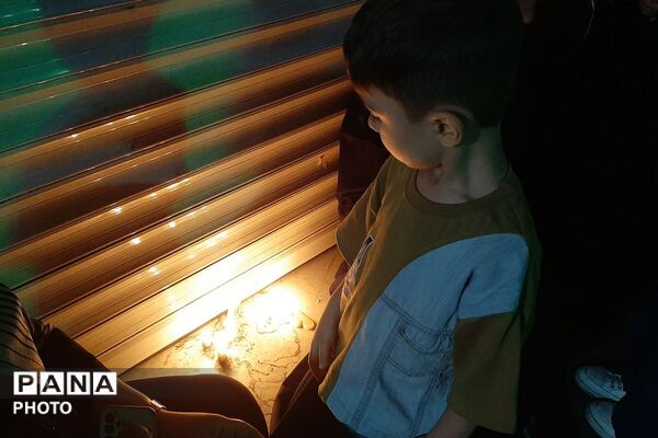 آیین معنوی شب شام غریبان در ملارد با حضور پرشور عزاداران حسینی