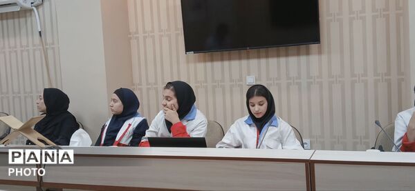 دومین کنگره بین‌المللی سرو سرخ