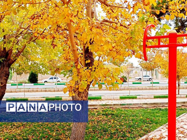 کاشمر در برگریزان پاییز