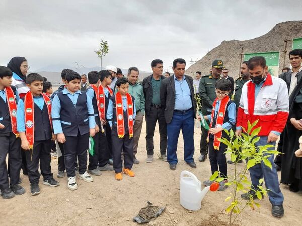 مراسم نمادین کاشت نهال در حاجی‌آباد 