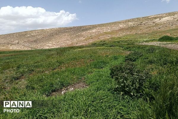 ارتفاعات شهر بار ذخیره‌گاه گیاهان دارویی کمیاب-۱